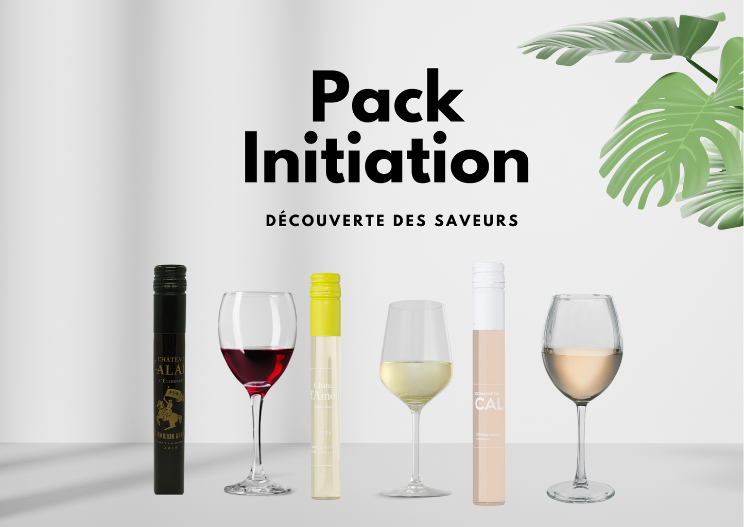 Pack initiation : “Découverte des Saveurs” (50 tubes)