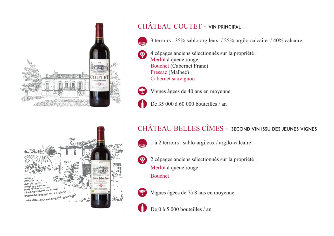 Château Coutet St Emilion Grand Cru 2019 rouge